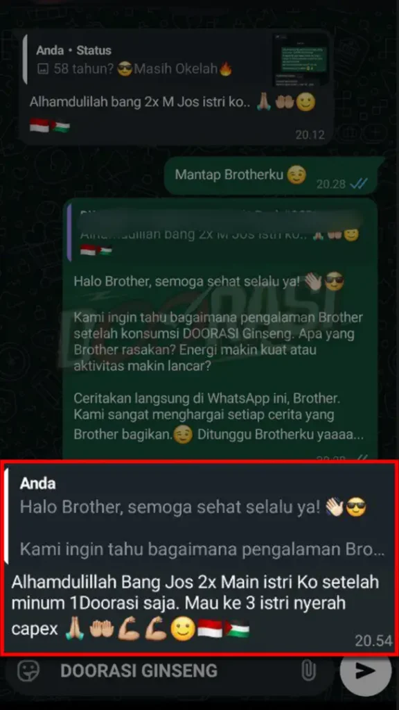testi-wa-6-1